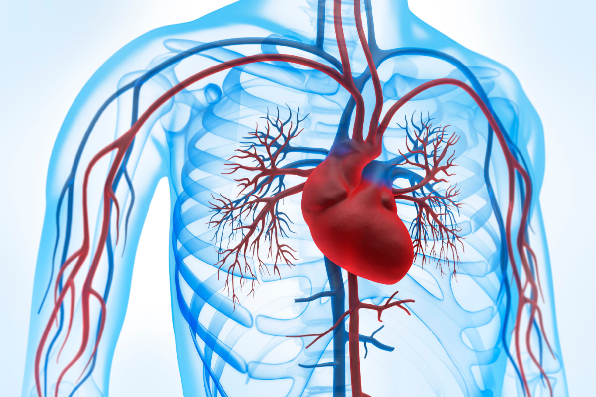 Sleep Apnea Treatment West Orange New Jersey